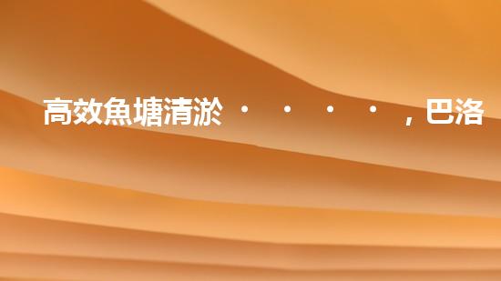 高效魚塘清淤，巴洛仕設(shè)備助力生態(tài)養(yǎng)殖